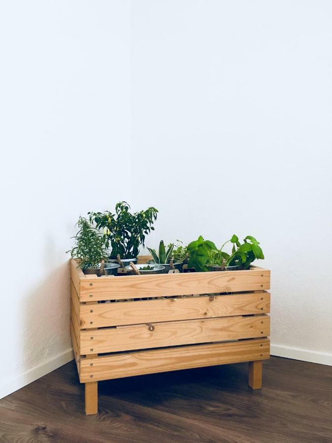 Urban herbs apartment Ljubljana Buitenkant foto