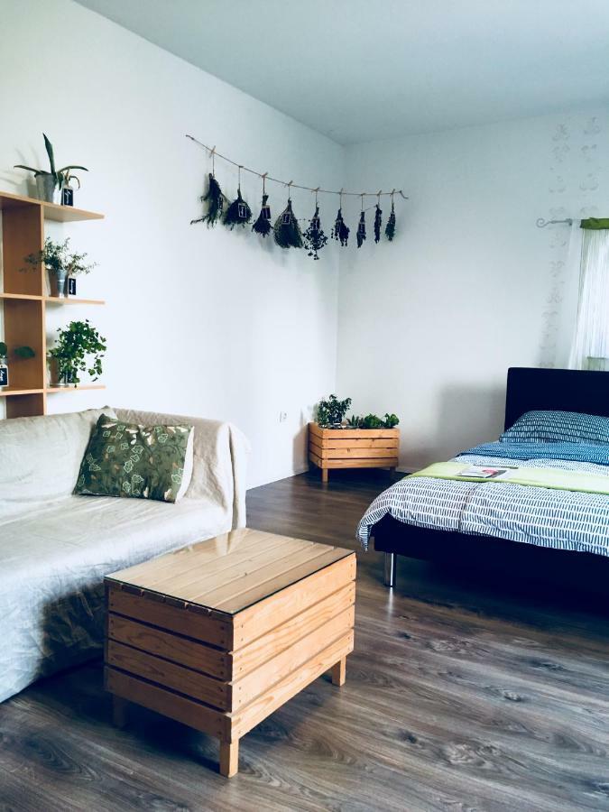 Urban herbs apartment Ljubljana Buitenkant foto
